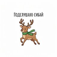 Канал Подслушано Сибай | Обсуждай в Максе