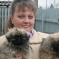 Канал Домик Марио в Максе