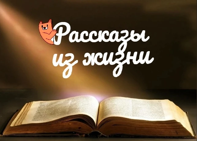 Канал Рассказы из жизни в Максе