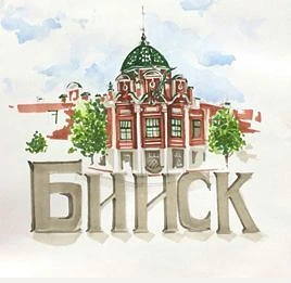 Канал Бийск 22 в Максе