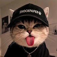 Канал Обои на телефон | ShockPaper в Максе