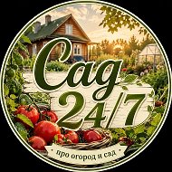 Канал САД 24/7 в Максе