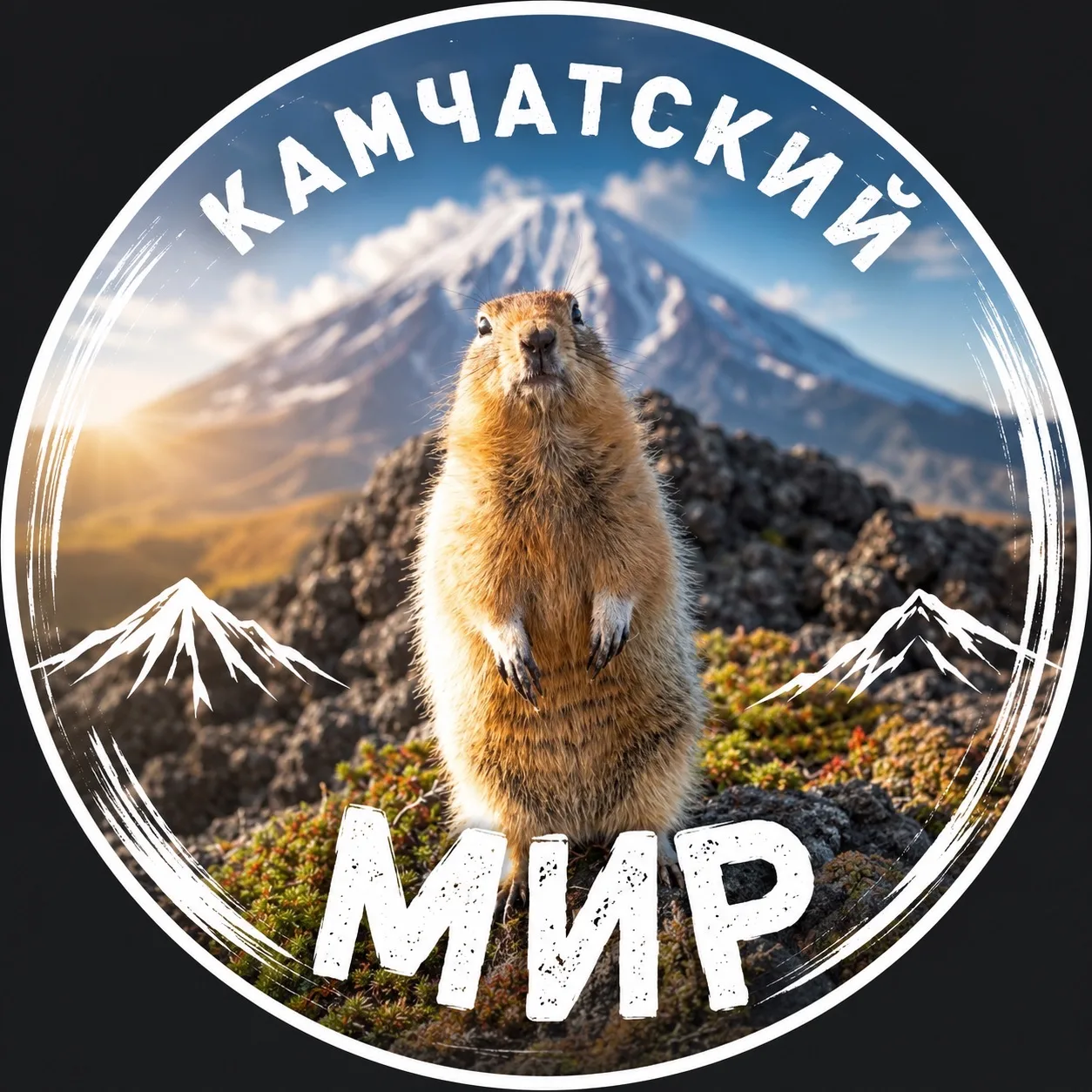 Канал Камчатский Мир в Максе
