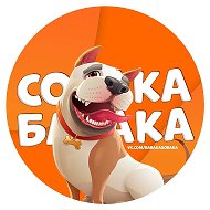 Канал Собака бабака в Максе