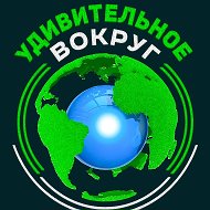 Канал Удивительное вокруг в Максе