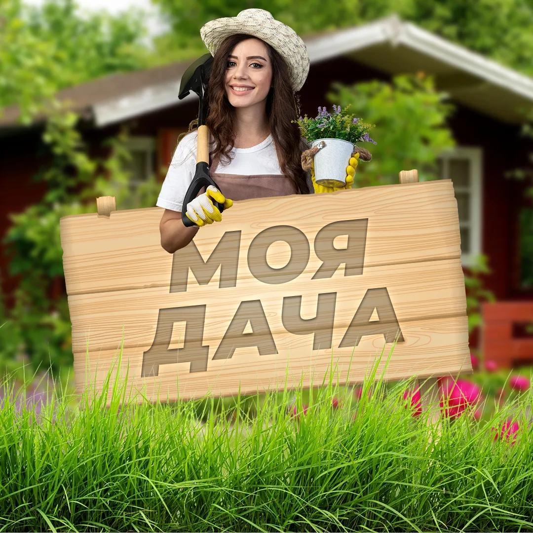 Канал Моя дача в Максе