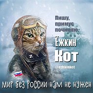 Канал Ёжкин кот в Максе