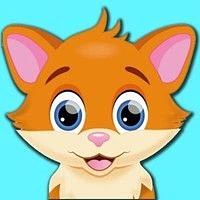 Канал Котики - огонь! в Максе