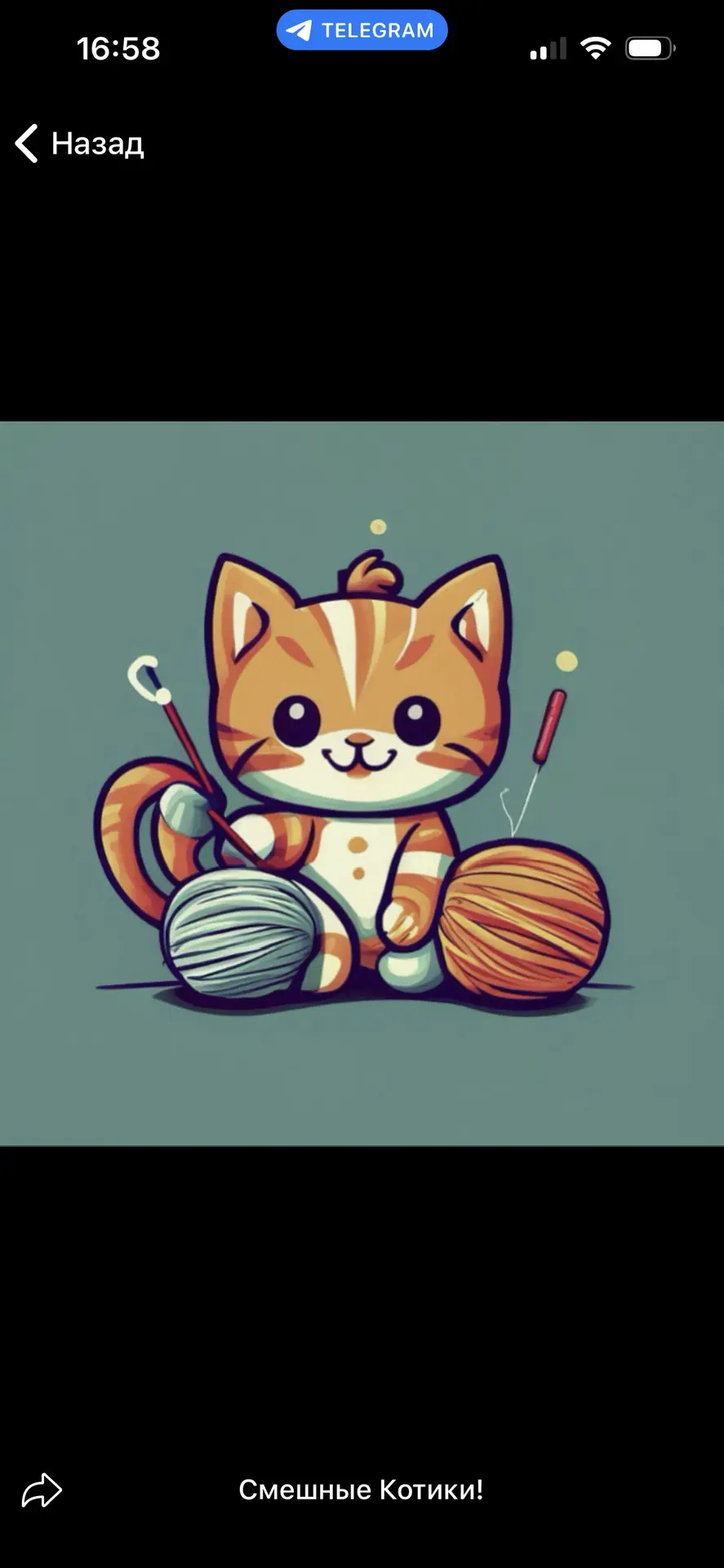 Канал 😹Смешные котики! в Максе